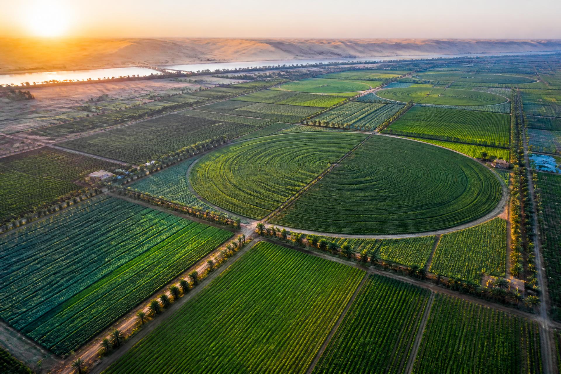 Agricultural landscape